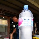 죽도얼음