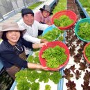 노암4리 이미지
