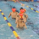 구청장배 수영대회 이미지