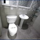 에코파인 이미지