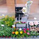 하나로꽃집 이미지