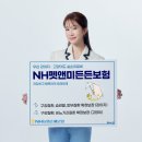 펫앤수 이데일리