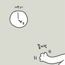 노키즈