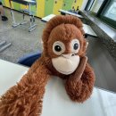 바로팜약국 | [바로팜x비약 공모전] 레비온 숏폼 컨텐츠 제작 후기 + PDRN약사추천 화장품