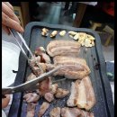 진안약초