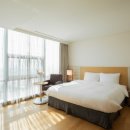 소노캄 고양 이미지