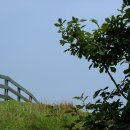 풍차언덕 이미지