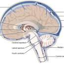 서은경립샘한의원 이미지