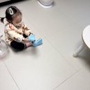 댕댕묭실 이미지