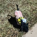 폴리파크 임당점 이미지