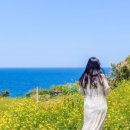 고운풍경민박 이미지