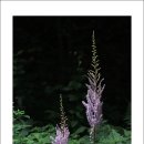 밤두둑마을 이미지