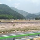 길주남로 이미지