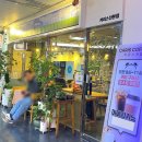 산본카리스 이미지