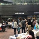 딜라이트 이미지