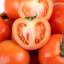 토마토 - 의정부시 태평로73번길 20 | 토마토
