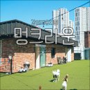 멍크라운 | 부산 강아지유치원 멍크라운 프리미엄 애견유치원 후기