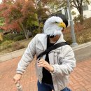 불닭발땡초동대문엽기떡볶이태평점 이미지