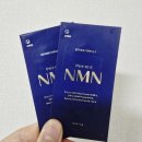내돈내산) 여에스더 NMN(엔엠엔) 필름 파이토에스 5X 섭취후기