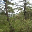 남구-131 이미지