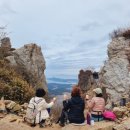 달마스테이 이미지