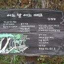 삼화마을 이미지