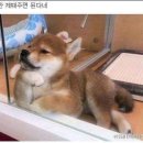 흠