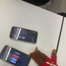 행복하시우 이미지