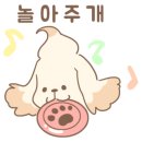 패밀리독 이미지