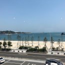 바이트 미 피자 이미지