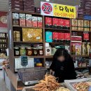 초지인삼센타다희네