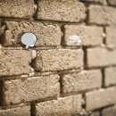 페리테일 이미지