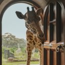 호텔태그(Hotel Tag) 이미지