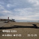 12/20(토) 해파랑길 44-, 43, 42-코스 南進 이미지