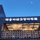 수원-1393 | 야옹이네고양이카페 수원본점 후기 아이들과 가기 좋은 수원고양이카페 추천