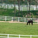 예정목장 이미지