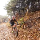 쌍용대로 이미지