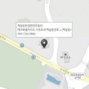 강정점 현대자동차 티스토리