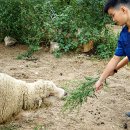 과채류마을 이미지