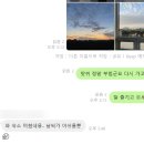 종달차경(메리골드) 이미지