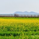 반월마을회관 이미지