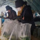 율현농장 이미지