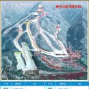 베어스 타운 이미지