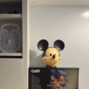 트리벅스 이미지