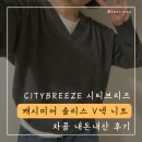 IMAGE 93 - | 시티브리즈 캐시미어 솔리스 브이넥 니트 차콜 내돈내산 후기 CTH3KT93 CH0F