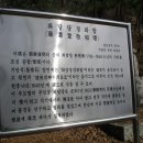 화담당 경화탑 이미지