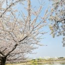 한국자산관리협회