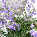 왕대포민박 이미지