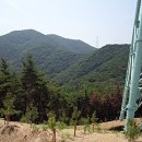 비슬목장 이미지