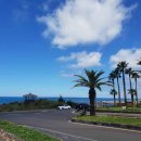 제주흑돼지숯불구이 이미지